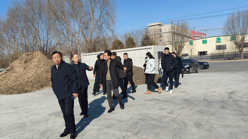 3月13日大安市委常委、市纪委书记、市监委主任孙德刚、市林草局局长李会清、市住建局局长于良、市经济开发区管委会副主任李治惠一行到尊龙凯时-人生就是搏尊龙凯时-人生就是搏就营商环境进行调研，现场帮助企业解决问题。